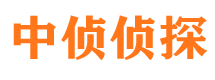 宿州市私家侦探